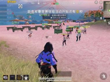 和平精英律师外挂